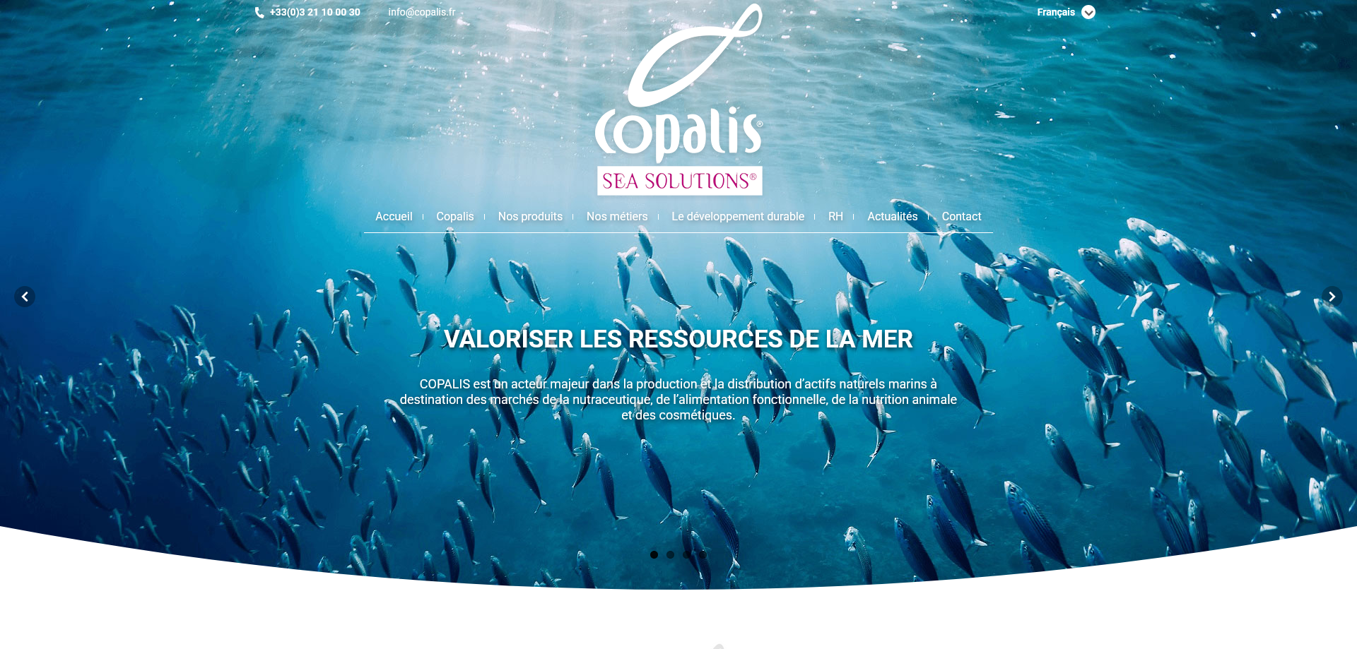 Visualisation du site Copalis